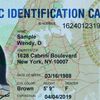 Judge Orders City To Hold Off On Destroying IDNYC Data